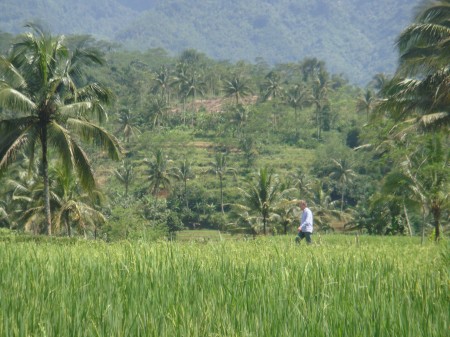 Rob verkent het klassieke Indonesische landschap