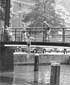 Jongetjes springen van een noodbruggetje in het water van de Nieuwe Herengracht (Richter Roegholt 1965)
