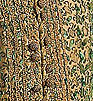 Het kostbare jongenswambuis op de foto is van zijde en gouddraad en dateert uit circa 1600. Het is verstevigd met baleinen en duidelijk afgeleid van de soldatenkleding.